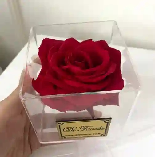 Cofre En Acrilico Con Rosa Preservada Premium