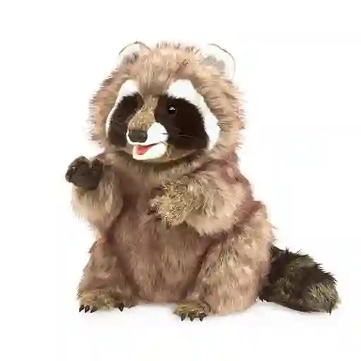 Titere Raccoon