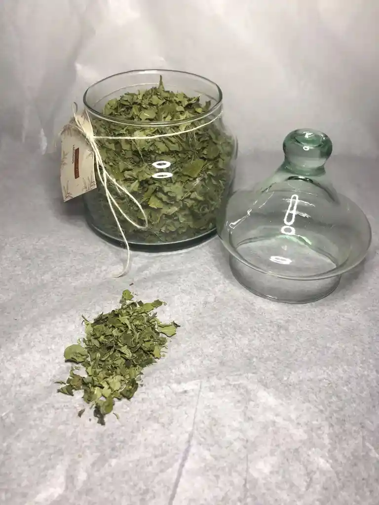 Bombonera En Vidrio Soplado Con Moringa 26 Gramos