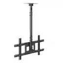 Soporte Para Televisor De Techo Pantalla 25 -55