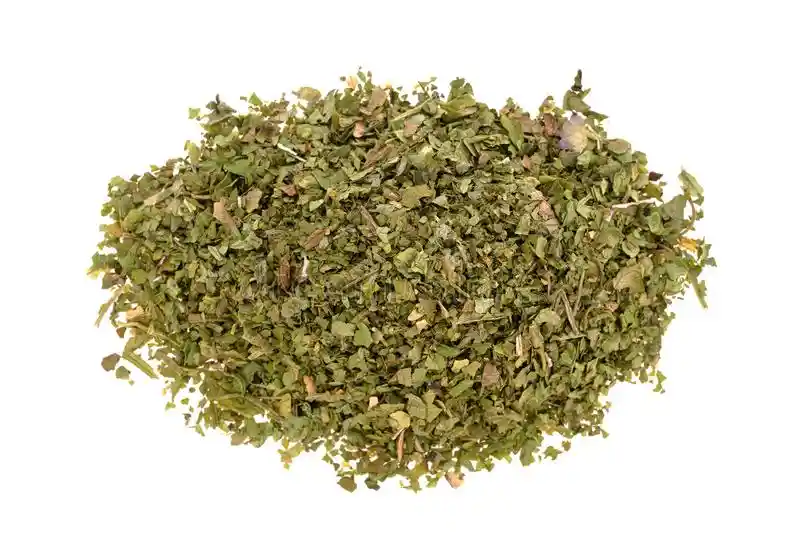 Cilantro Escama