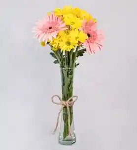 Gerberas Y Margaritas Solitario