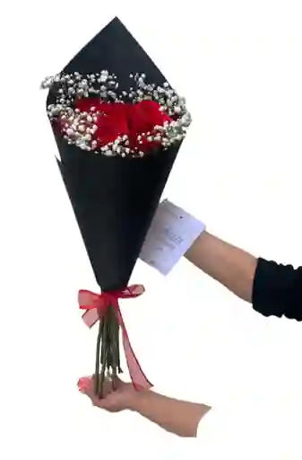 Elegante Bouquet En Cono Con 18 Rosas Rojas