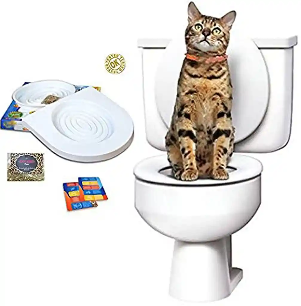 Kit Entrenamiento Baño Para Gatos City Kitty