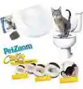 Kit Entrenamiento Baño Para Gatos City Kitty