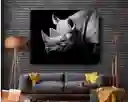 Cuadro Rinoceronte Perfil