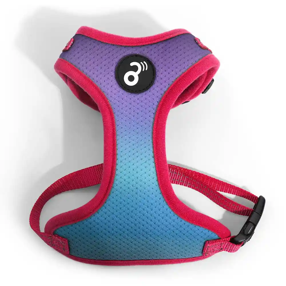 Arnes Flow Mesh Morado Y Azul Para Perros Pequeños