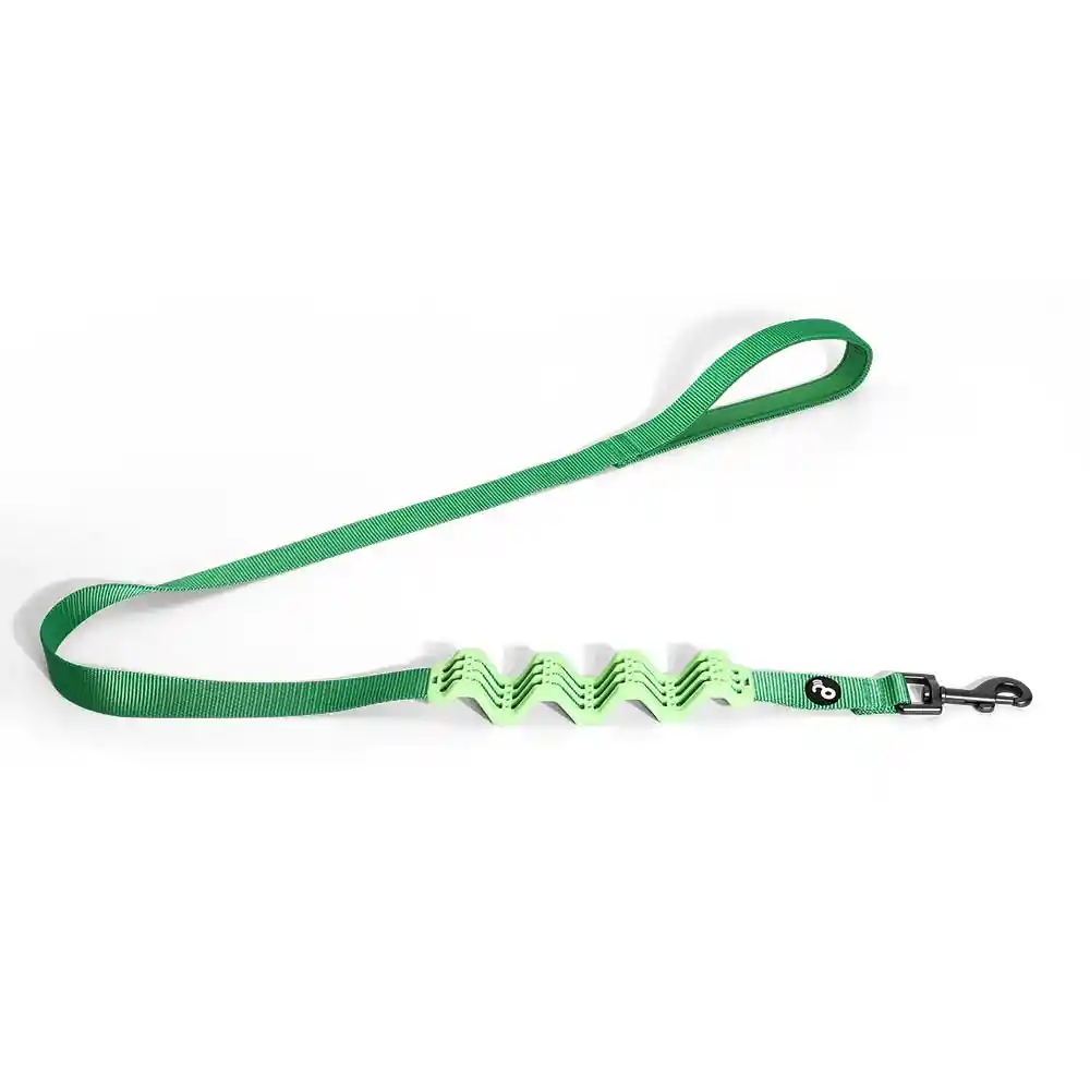 Mimo - Correa Con Amortiguador Verde 2,5x121