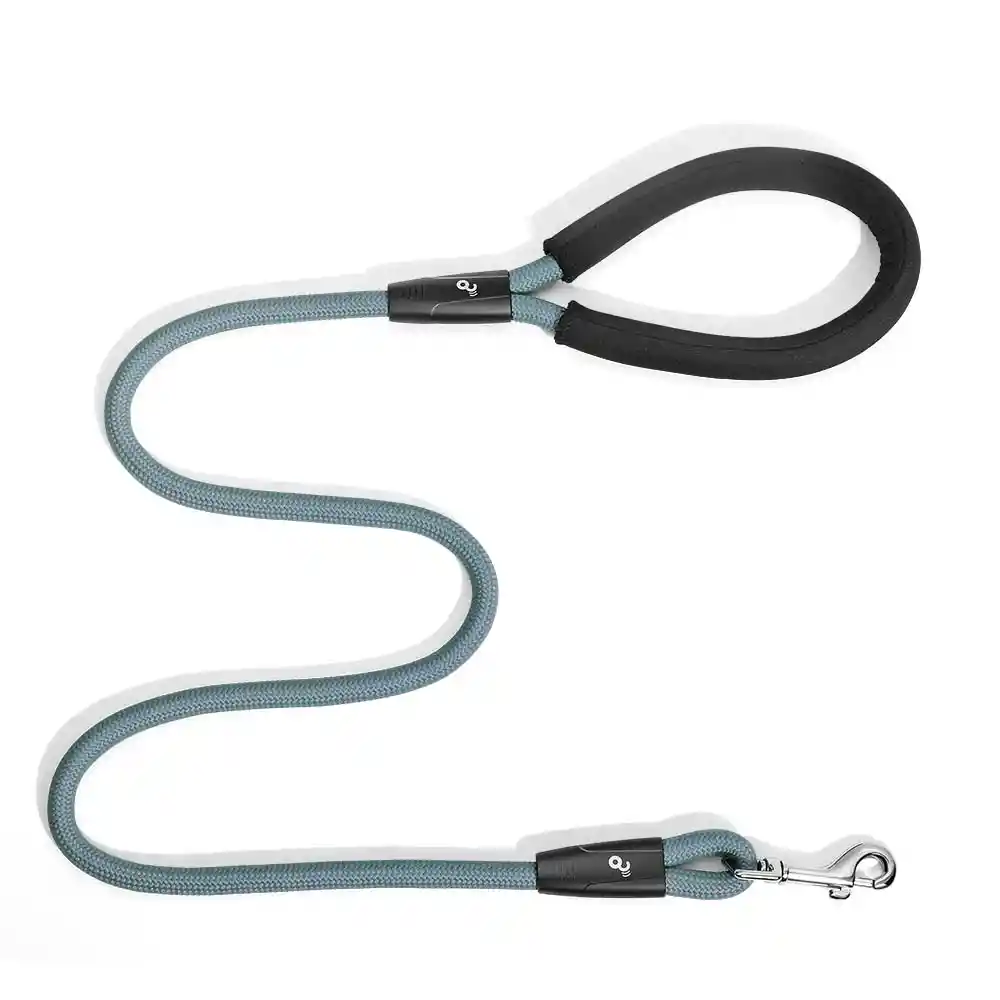 Correa Cuerda Azul 2,5x120