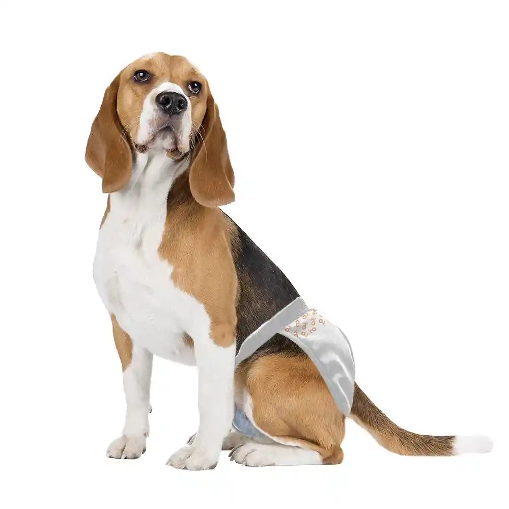 Mimo - Pañal Higienico Desechable Hembra 12 Unidades Para Perros Medianos