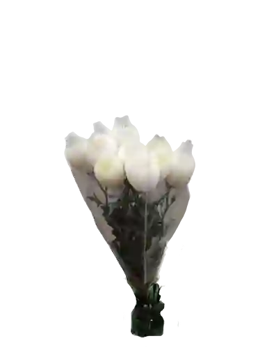 Flores Frescas, Crisantemos Blancos