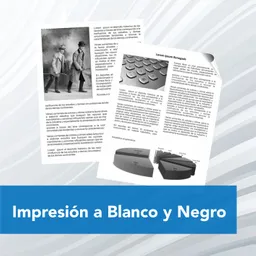 Impresión A Blanco Y Negro X5 Hojas