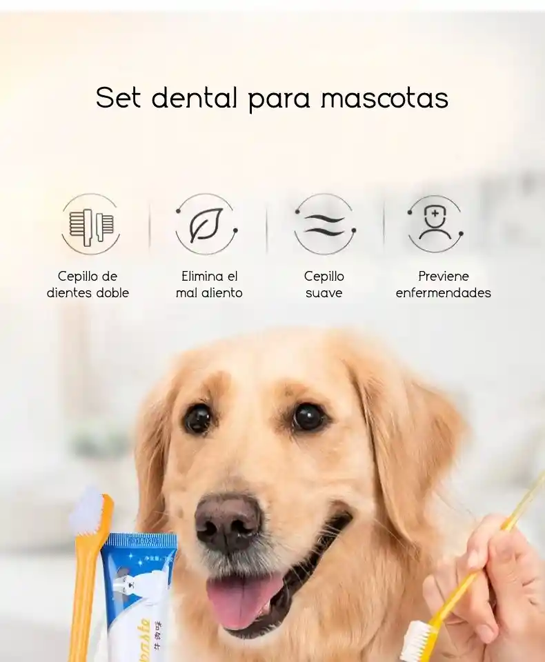 Kit Dental Crema Y Cepillos