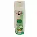  Shampoo  Antic Aspa Nutriorganic 400Ml 