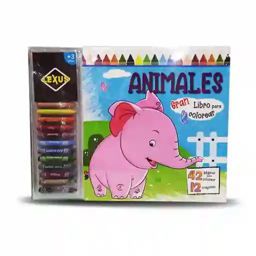 Libro Para Colorear Con 12 Crayones Animales