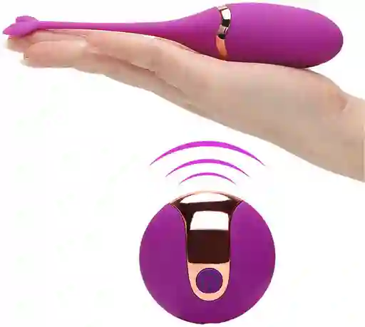 Vibrador En Forma De Delfín (bola Kegel)