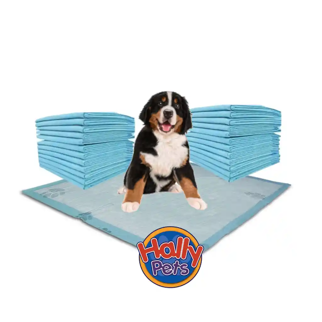 25 Und Tapetes Entrenadores Para Mascota 110 Cm X 60 Cm