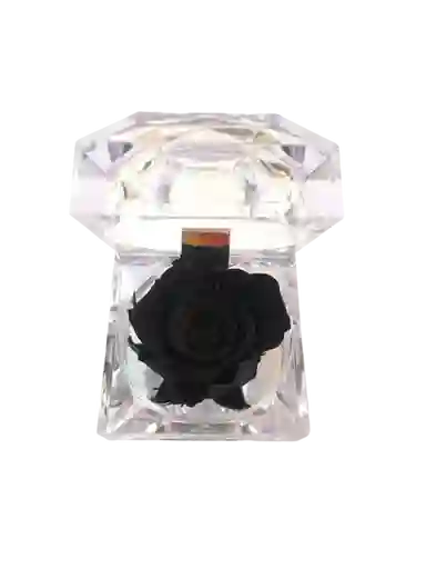 Rosa Preservada Negra En Cofre De Lujo