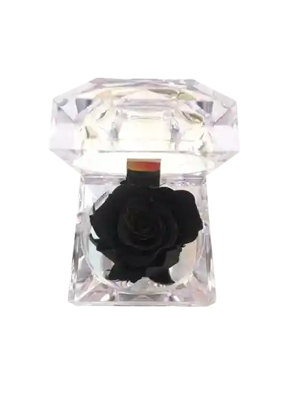 Rosa Preservada Negra En Cofre De Lujo