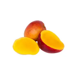 Mango Tomy X Lb