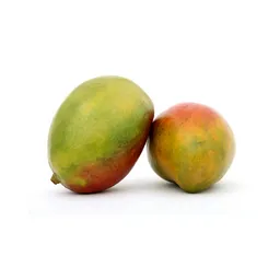 Mango Yulima X Lb