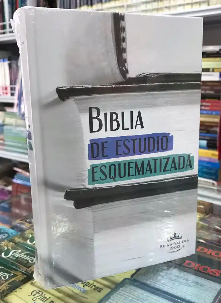 Biblia De Estudio Esquematizada - Reina Valera