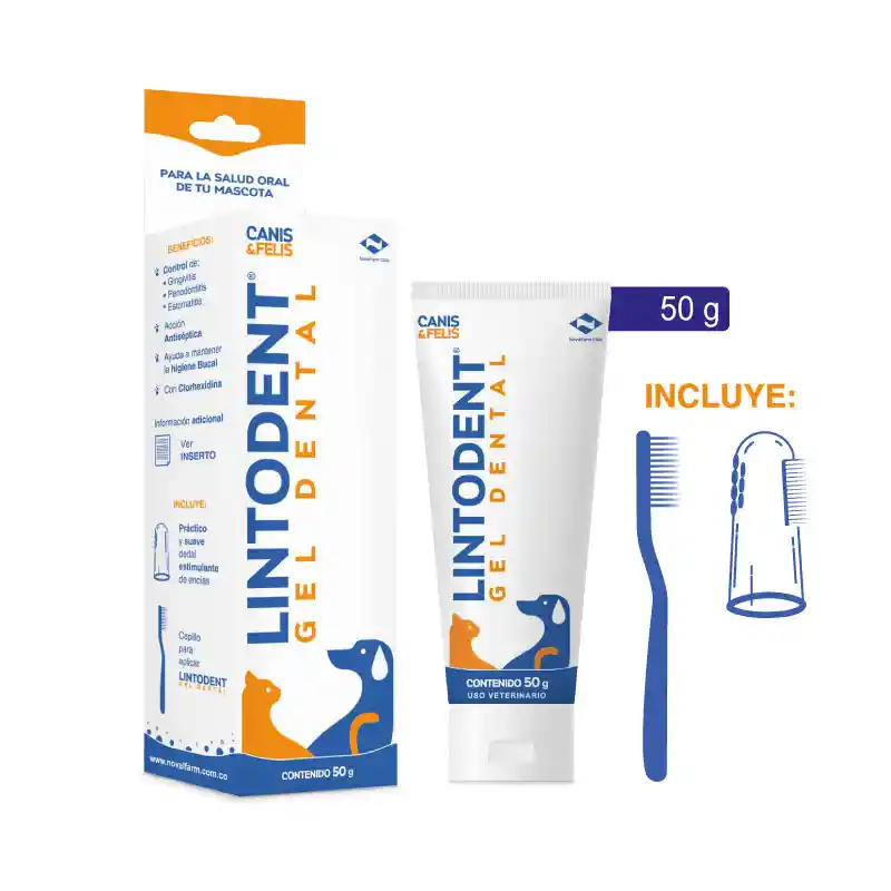 Lintodent 50 G – Gel Dental