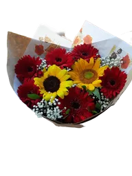 Girasoles Y Gerberas Regalo Especial