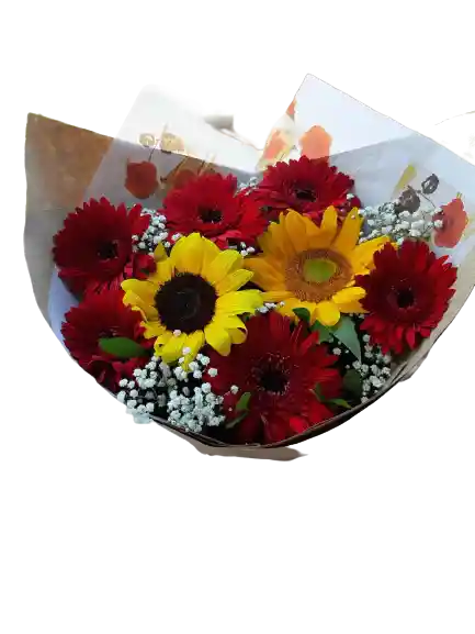 Girasoles Y Gerberas Regalo Especial