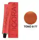 Igora Tinteroyal 8.77