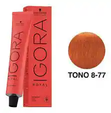 Igora Tinteroyal 8.77