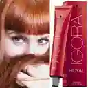 Igora Tinteroyal 8.77