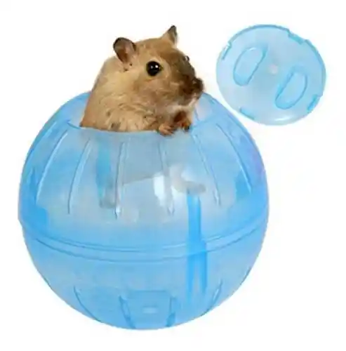 Rueda Esfera Bola Para Hamster