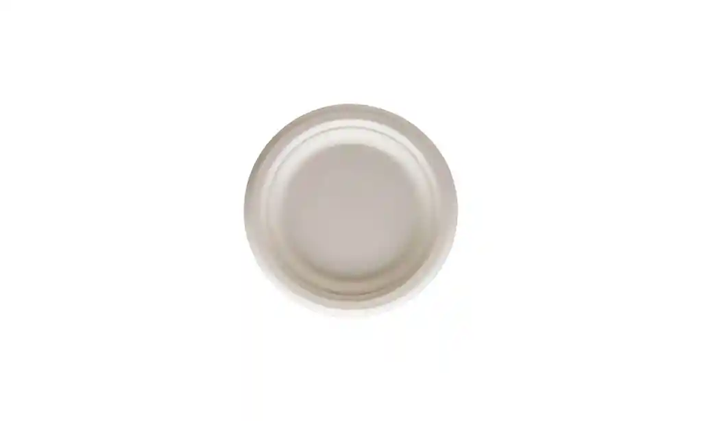Plato Desechable Bagazo De Caña 15.5 Cm Darnel