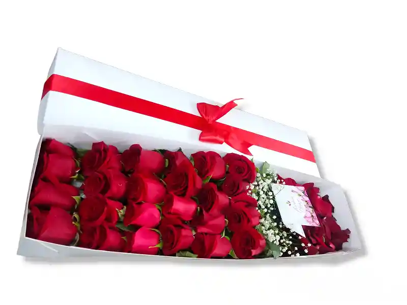 Fflores En Caja De Rosas X 24 - Floristeria En Cali