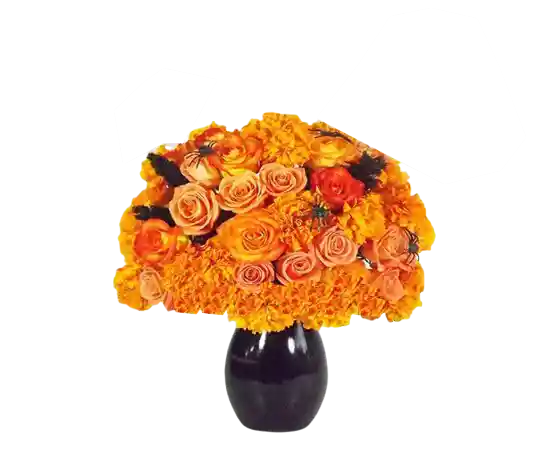 Rosas Y Flores Naranjas Un Gran Susto