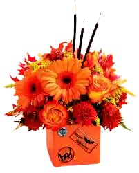 Gerberas , Astroemliea Y Rosas Halloween