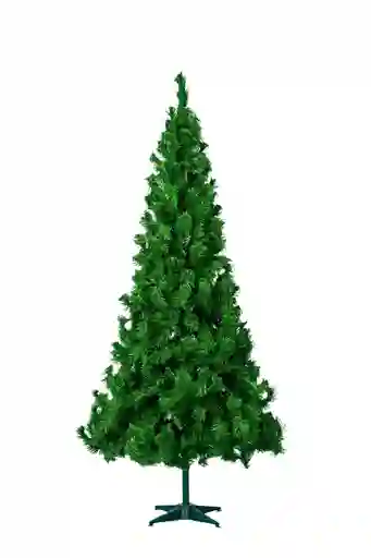 Árbol Mexico 1.50 Mts