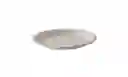 Plato Desechable 26cm Bio Darnel