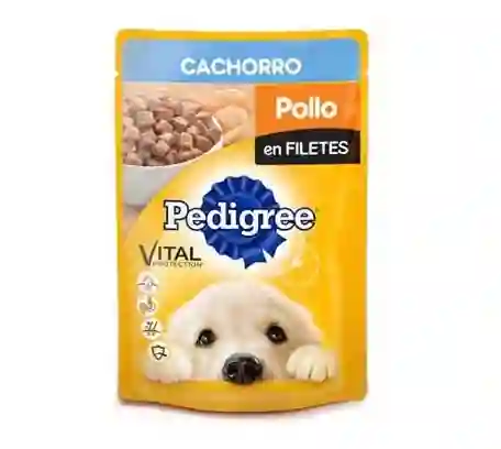 Pedigree Pouchcachorro Pollo X 100Gr