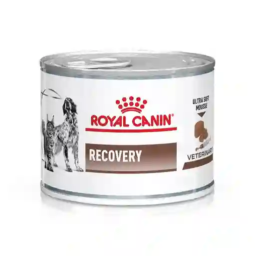 Royal Canin Latarecovery X 165Gr