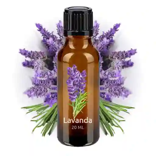 Esencia Fragancia Lavanda Para Difusor O Humidificador