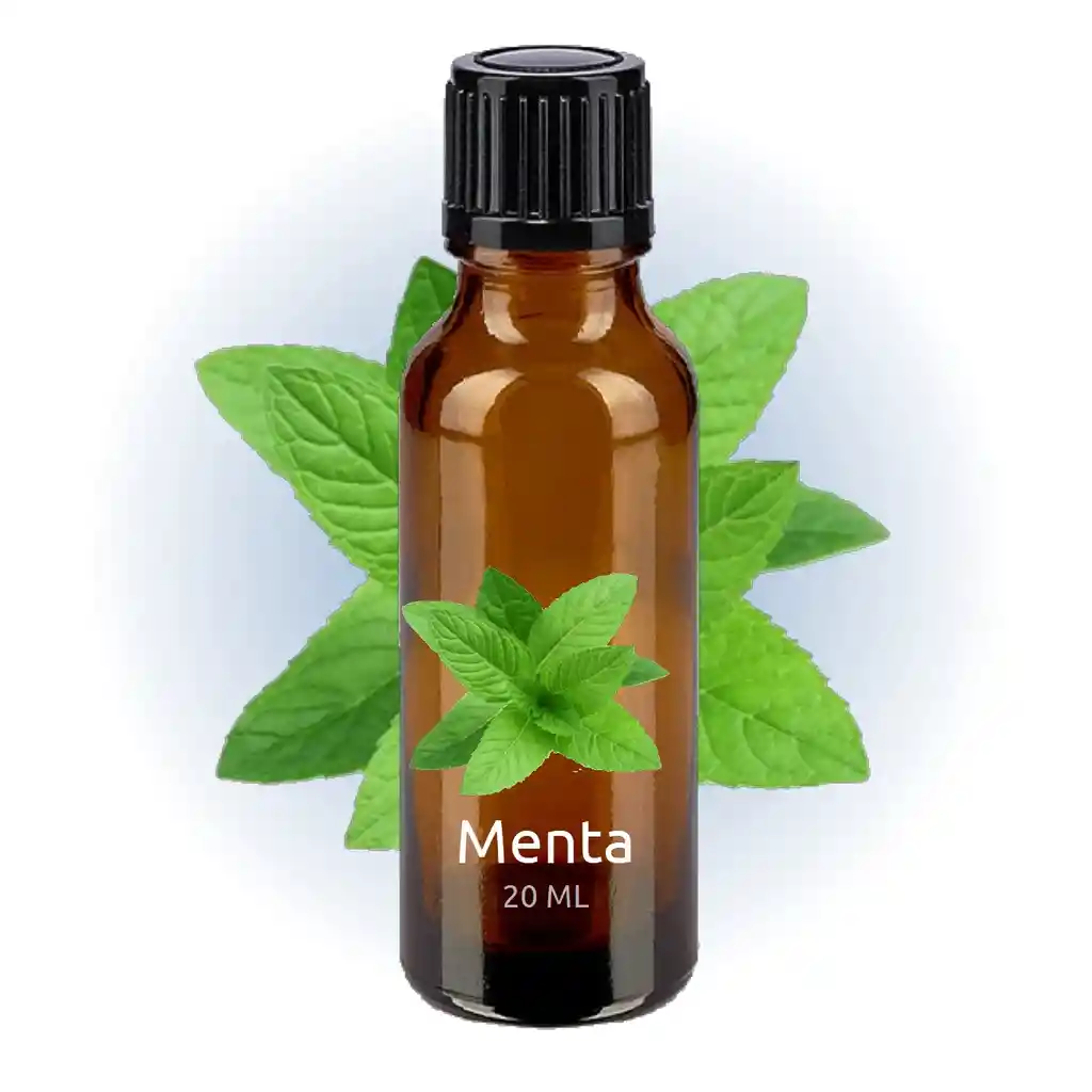 Esencia Fragancia Menta Para Difusor O Humidificador