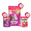 Whiskas Bultocarne 9Kg + 2Alimento Humedo + Snack Temptations Mix