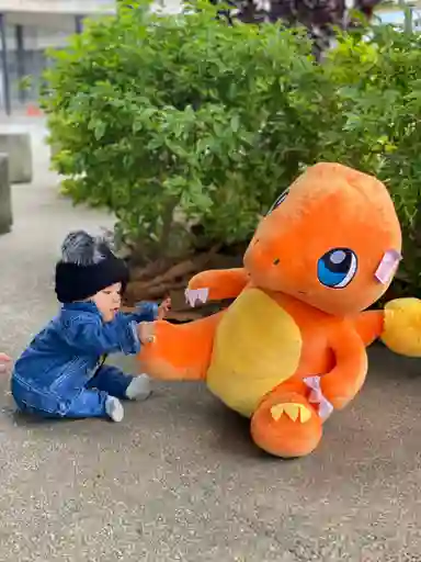 Pokemones De Peluche Gigantes