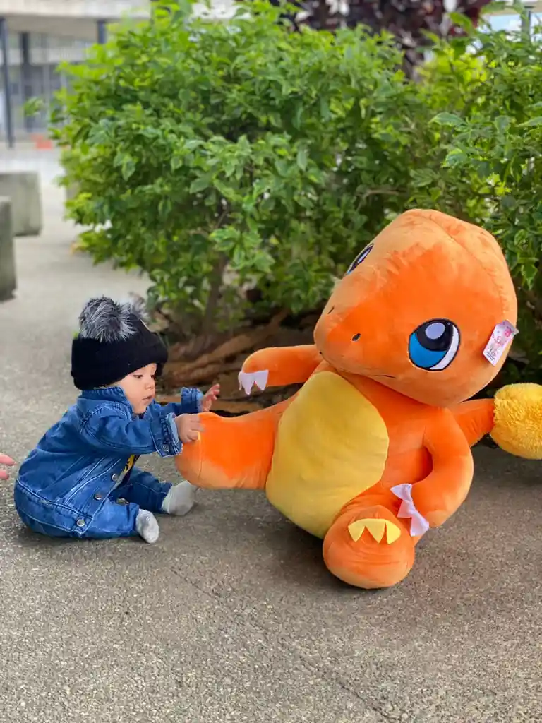 Pokemones De Peluche Gigantes