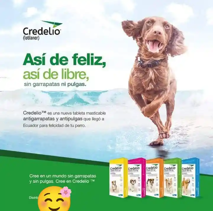 Credelio 11 A 22 Kg 1 Tableta Antipulgas Garrapatas Perro