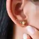 Arete Topo Osito Teddy