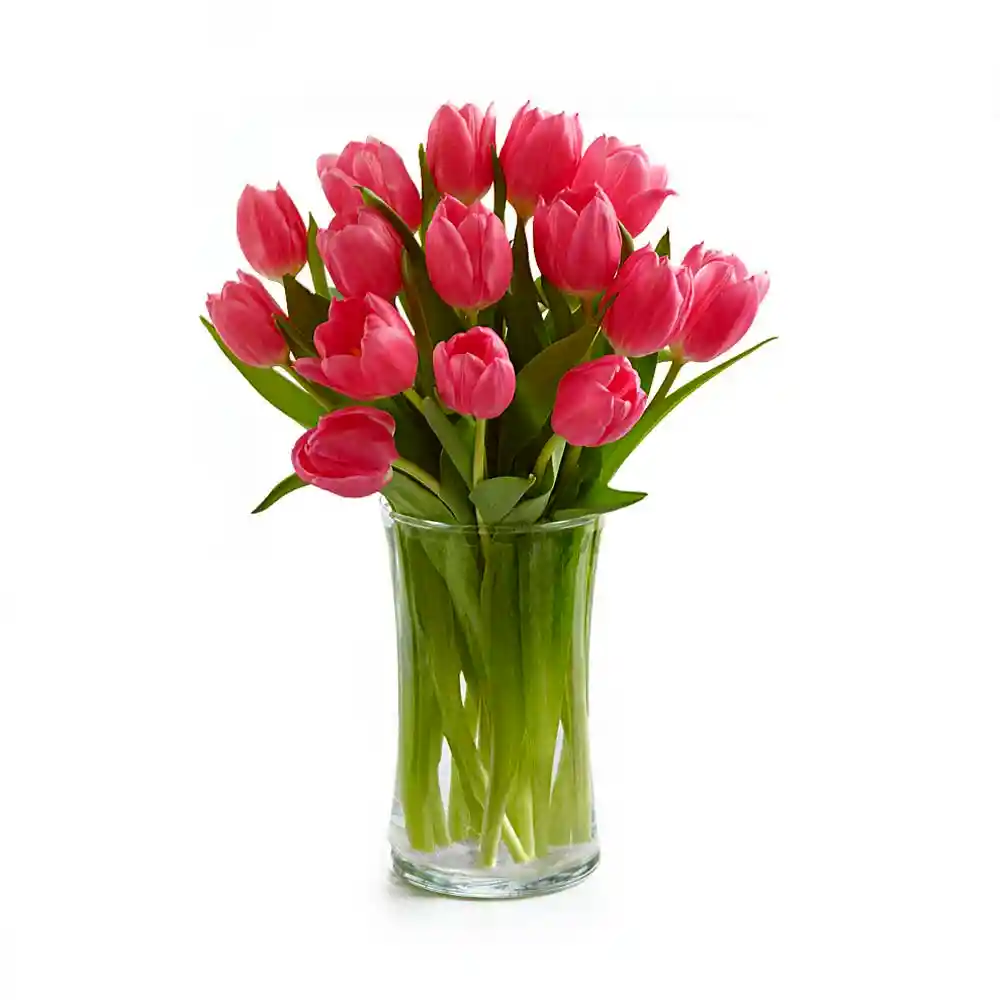 Arreglo Floral 15 Tulipanes Fucsia Mia Bella En Jarrón