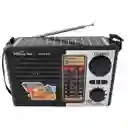 Radio Parlante Bluetooth Recargable Con Am Fm Sw